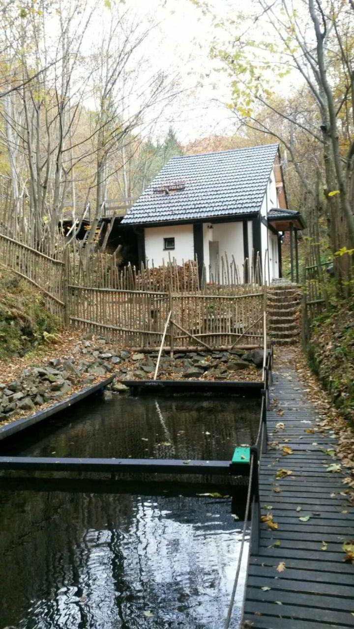 Cabana Crenguta Сибиу Экстерьер фото