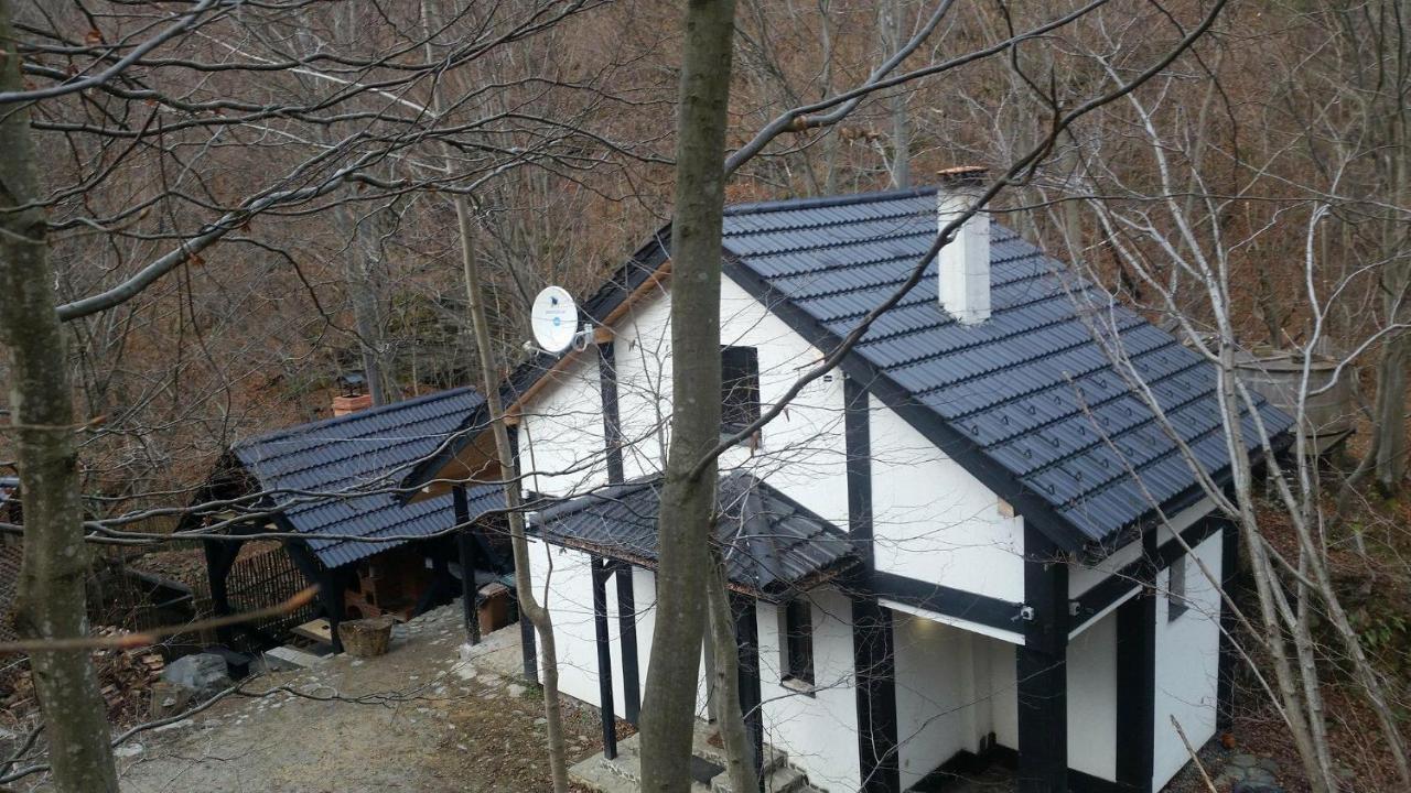 Cabana Crenguta Сибиу Экстерьер фото